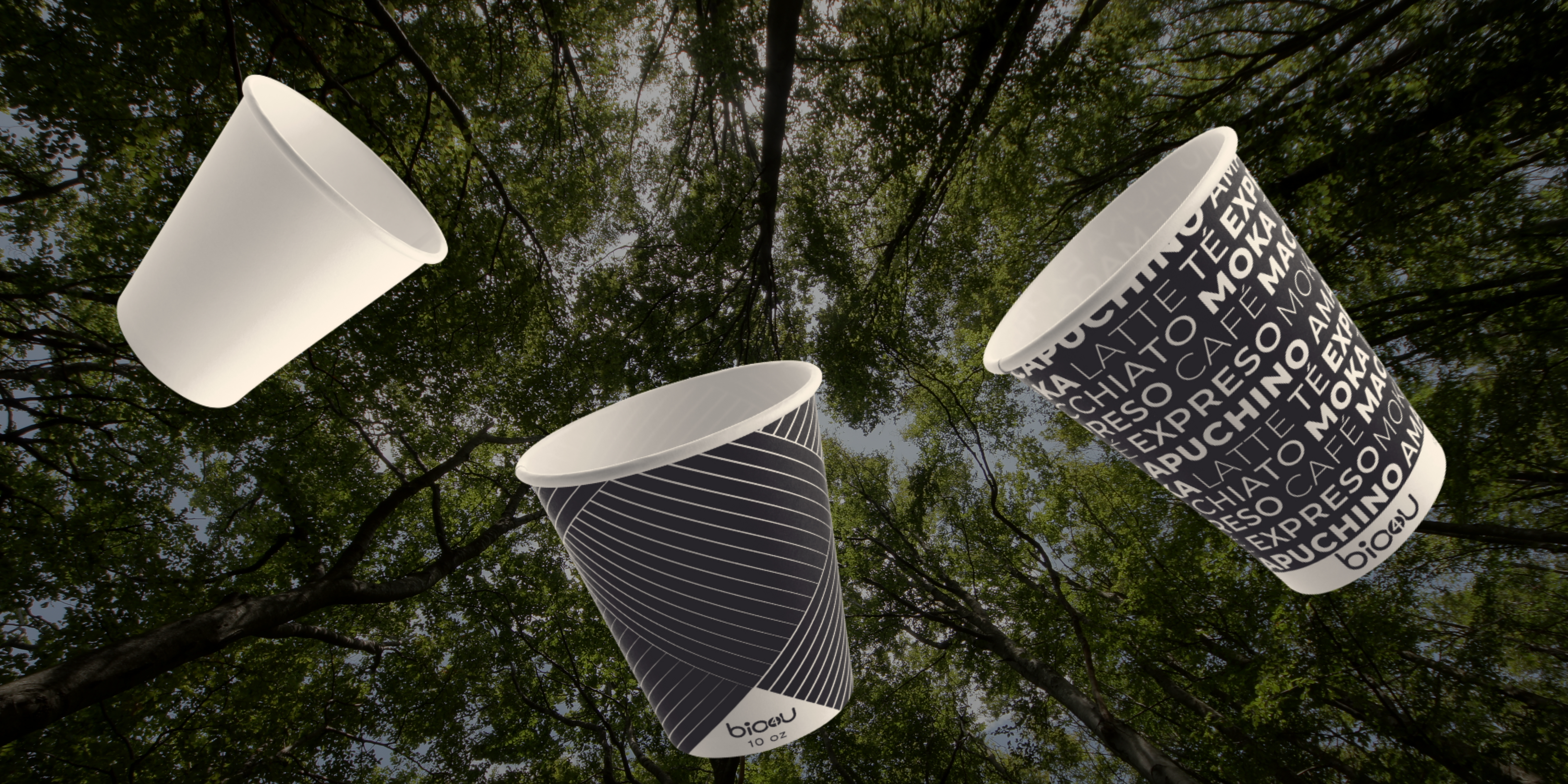 La Importancia de Elegir Productos Biodegradables