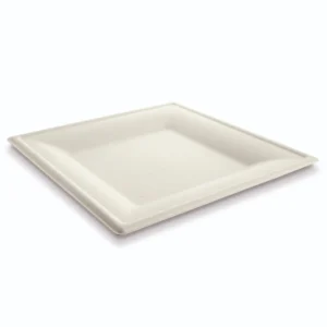 Plato Cuadrado